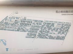 -前小桔亲子创意农场·草莓采摘·露营烧烤