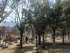 -牛岗山公园