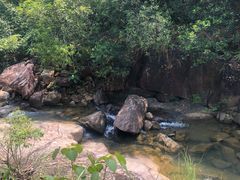 -广州白江湖森林公园