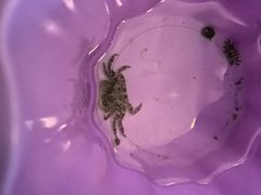 -海天一色海景自助餐厅(西港花园店)