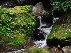 -藏龙百瀑风景区