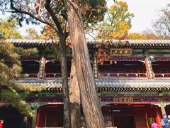 -潭柘寺景区