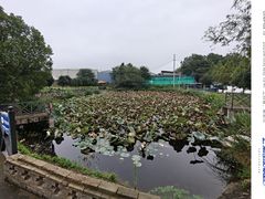 -元鼎宝驴香·全驴宴(江宁店)