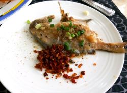 android_upload_pic-阳光五洲大酒店·宴会厅