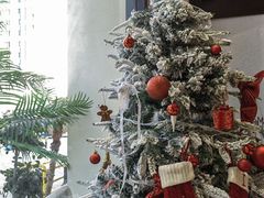 -Miss Q Family甜品·蛋糕·法甜咖啡