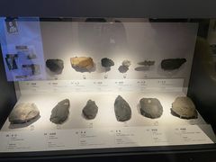 -四川大学博物馆