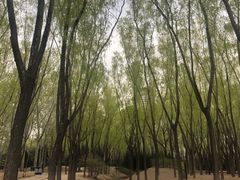 -森林公园(尖草坪区)