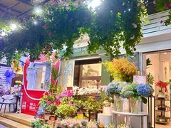 -溪岸路花鸟市场