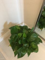 包房-美丽田园Beauty Farm