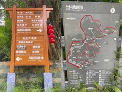 -广州市流溪河国家森林公园
