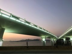 -演武大桥观景平台