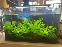 -一杯海(国际海水浴场店)