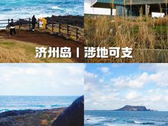 -涉地可支
