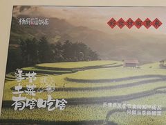-杨厨的田园饭店(长城路店)
