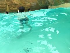 -杭州开元森泊度假乐园