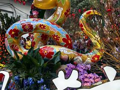-越秀西湖花市(广州城市广场花卉店)