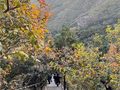 -香山公园