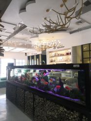 -可爱多国际儿童摄影会馆(龙泉店)