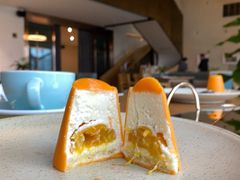 芒果芝士-EN SPACE恩空间