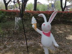 -高东镇樱花园