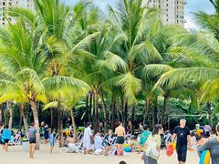 -亚马逊丛林水乐园