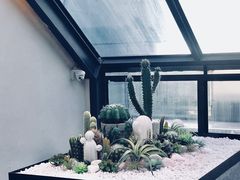 景观位-大树餐厅(红旗街万达店)