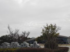 -漩门湾国家湿地公园