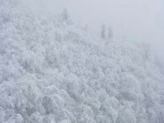 -西岭雪山大飞水景区