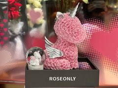 -ROSEONLY诺誓(磐基中心店)
