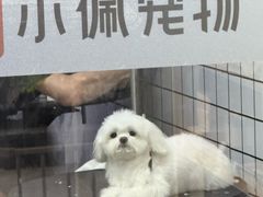 -PETKIT小佩宠物(古北店)