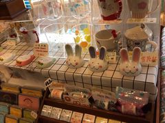-猫的天空之城概念书店(丽江古城饮玉巷店)
