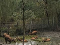 景点-溱湖国家湿地公园