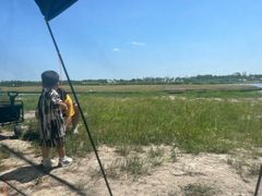 -春花秋色城市公园