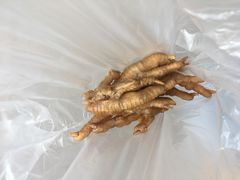 -震九州熟食(凯旋路店)