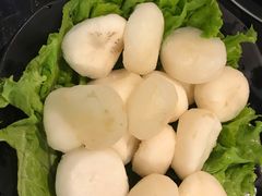 大马蹄-东椰·海南椰子鸡火锅(朝阳门店)