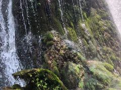 -贵阳市花溪国家城市湿地公园