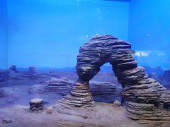 -重庆自然博物馆(新馆)