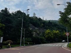 -铁山坪森林公园