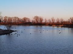 -盐城丹顶鹤湿地生态旅游区