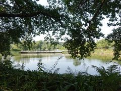 -南沙蒲洲花园