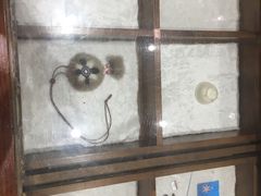 -哈啾嗨·新概念蒙餐(红星新城店)