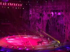 iphone_upload_pic-灵玲国际马戏城