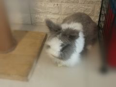 -平行世界·猫咖(首经贸店)