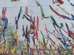 -绵阳盛世樱花悠乐谷