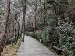 -兴福老面馆(寺路街店)