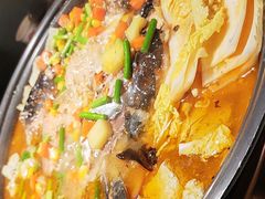 -师烤·豆花烤鱼(广州荔湾扬韬广场店)