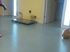 -瑞鹏宠物医院·爱宠堂·骨外专科(西荷分院)