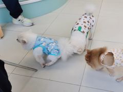 -怪兽屋·羊驼·猫咖·狗咖(俊华广场店)