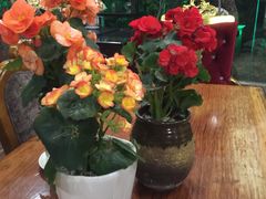 -漫渡庄绿岛花园•隐世庭园菜(滨湖店)