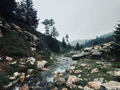 -芦芽山旅游度假区